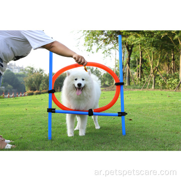 تدريب على تدريب الحيوانات الأليفة معدات تدريب خفة الحركة الكلاب